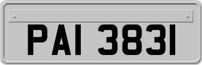PAI3831