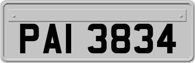PAI3834