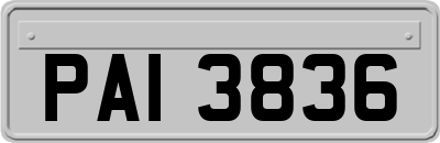 PAI3836