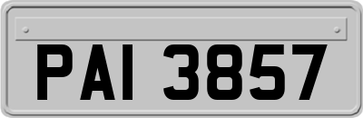 PAI3857
