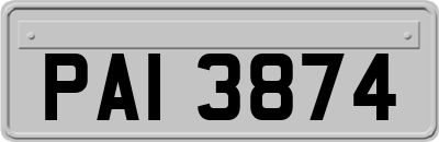PAI3874