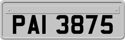 PAI3875