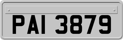 PAI3879
