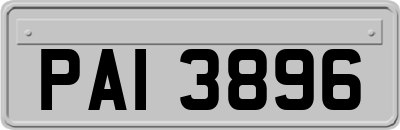 PAI3896