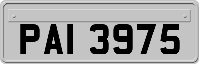 PAI3975