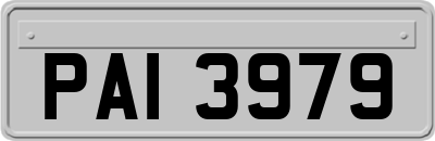 PAI3979