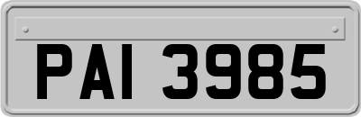 PAI3985