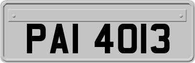 PAI4013