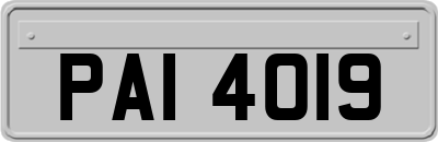 PAI4019