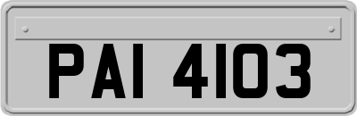PAI4103