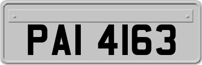 PAI4163
