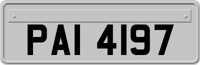 PAI4197