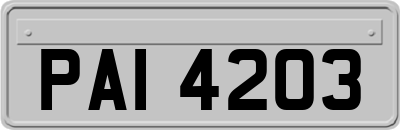 PAI4203