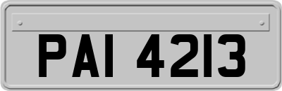 PAI4213
