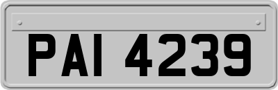PAI4239