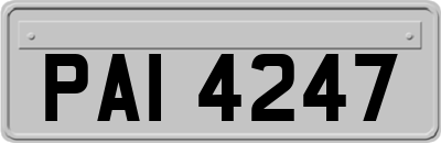 PAI4247