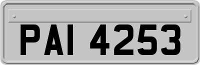 PAI4253