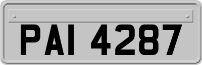PAI4287