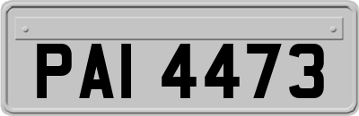 PAI4473