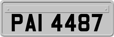 PAI4487