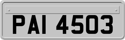 PAI4503