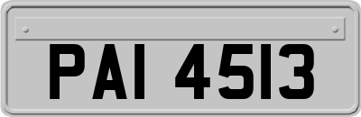 PAI4513