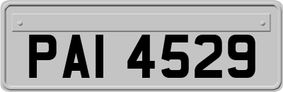 PAI4529