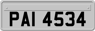 PAI4534