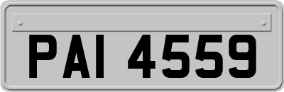 PAI4559