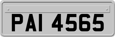 PAI4565