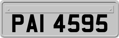 PAI4595
