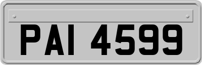PAI4599