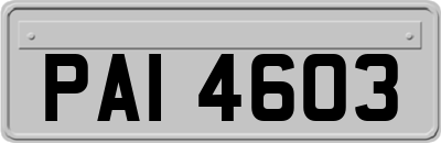 PAI4603