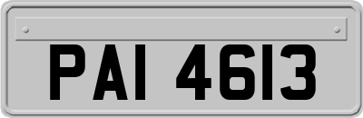 PAI4613