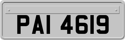 PAI4619