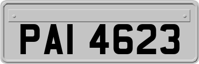 PAI4623
