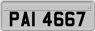 PAI4667