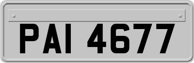 PAI4677