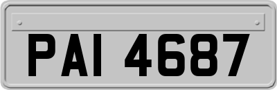 PAI4687