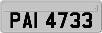 PAI4733