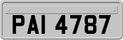 PAI4787