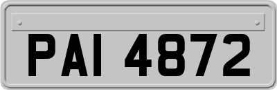 PAI4872