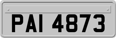 PAI4873