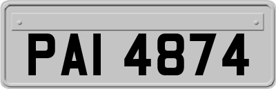 PAI4874