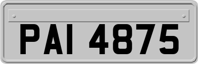 PAI4875