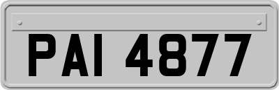 PAI4877