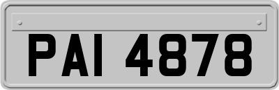 PAI4878