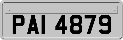 PAI4879