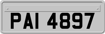 PAI4897