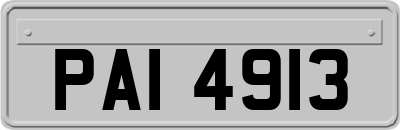 PAI4913